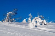 FIS Baltic Cup 2018 3. posms, Super-G treniņš, Foto: Emīls Lukšo