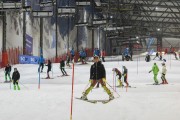 Baltijas kauss 2020 1.posms, FIS paralēlais slaloms, Foto: E.Lukšo