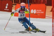 Baltijas kauss 2020 1.posms, FIS paralēlais slaloms, Foto: E.Lukšo