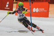 Baltijas kauss 2020 1.posms, FIS paralēlais slaloms, Foto: E.Lukšo