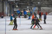 Baltijas kauss 2020 1.posms, FIS paralēlais slaloms, Foto: E.Lukšo