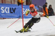 Baltijas kauss 2020 1.posms, FIS paralēlais slaloms, Foto: E.Lukšo