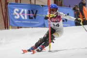 Baltijas kauss 2020 1.posms, FIS paralēlais slaloms, Foto: E.Lukšo