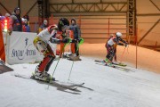 Baltijas kauss 2020 1.posms, FIS paralēlais slaloms, Foto: E.Lukšo