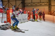 Baltijas kauss 2020 1.posms, FIS paralēlais slaloms, Foto: E.Lukšo