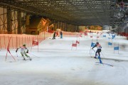 Baltijas kauss 2020 1.posms, FIS paralēlais slaloms, Foto: E.Lukšo