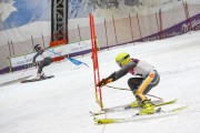 Baltijas kauss 2020 1.posms, FIS paralēlais slaloms, Foto: E.Lukšo