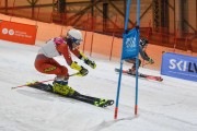 Baltijas kauss 2020 1.posms, FIS paralēlais slaloms, Foto: E.Lukšo