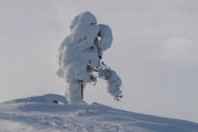 FIS Baltic Cup 2018 3. posms, Super-G treniņš, Foto: Emīls Lukšo