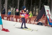 FIS Latvijas Čempionāts 2020 2. posms Īsā distance F, Foto: A. Veckalniņš