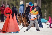 FIS Latvijas Čempionāts 2020 2. posms Īsā distance F, Foto: A. Veckalniņš