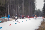 FIS Latvijas Čempionāts 2020 2. posms Īsā distance F, Foto: A. Veckalniņš