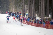 FIS Latvijas Čempionāts 2020 2. posms Sprints F, Foto: A. Veckalniņš