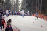 FIS Latvijas Čempionāts 2020 2. posms Sprints F, Foto: A. Veckalniņš