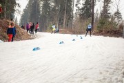 FIS Latvijas Čempionāts 2020 2. posms Sprints F, Foto: A. Veckalniņš