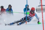 FIS Baltijas kauss 2020 LČ slalomā, Foto: E.Lukšo