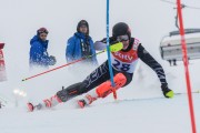 FIS Baltijas kauss 2020 LČ slalomā, Foto: E.Lukšo