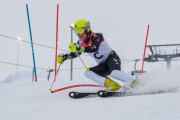 FIS Baltijas kauss 2020 LČ slalomā, Foto: E.Lukšo