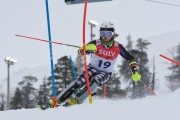 FIS Baltijas kauss 2020 LČ slalomā, Foto: E.Lukšo