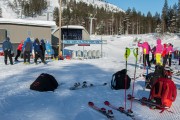 FIS Baltijas kauss 2020 paralēlais slaloms, Foto: E.Lukšo