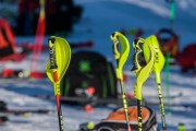 FIS Baltijas kauss 2020 paralēlais slaloms, Foto: E.Lukšo