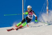 FIS Baltijas kauss 2020 paralēlais slaloms, Foto: E.Lukšo