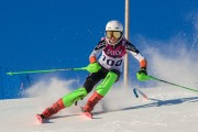 FIS Baltijas kauss 2020 paralēlais slaloms, Foto: E.Lukšo