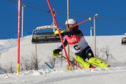 FIS Baltijas kauss 2020 paralēlais slaloms, Foto: E.Lukšo