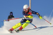 FIS Baltijas kauss 2020 paralēlais slaloms, Foto: E.Lukšo