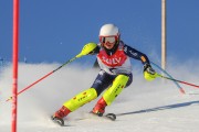 FIS Baltijas kauss 2020 paralēlais slaloms, Foto: E.Lukšo