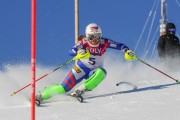 FIS Baltijas kauss 2020 paralēlais slaloms, Foto: E.Lukšo