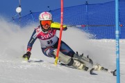 FIS Baltijas kauss 2020 paralēlais slaloms, Foto: E.Lukšo