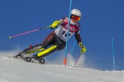 FIS Baltijas kauss 2020 paralēlais slaloms, Foto: E.Lukšo