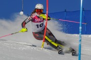 FIS Baltijas kauss 2020 paralēlais slaloms, Foto: E.Lukšo