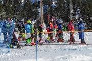 FIS Baltijas kauss 2020 paralēlais slaloms, Foto: E.Lukšo