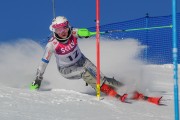 FIS Baltijas kauss 2020 paralēlais slaloms, Foto: E.Lukšo