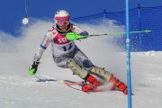 FIS Baltijas kauss 2020 paralēlais slaloms, Foto: E.Lukšo