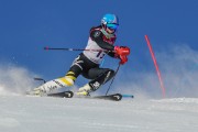 FIS Baltijas kauss 2020 paralēlais slaloms, Foto: E.Lukšo