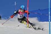 FIS Baltijas kauss 2020 paralēlais slaloms, Foto: E.Lukšo