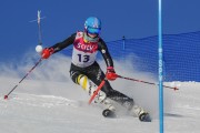 FIS Baltijas kauss 2020 paralēlais slaloms, Foto: E.Lukšo