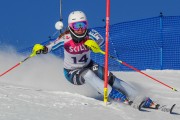 FIS Baltijas kauss 2020 paralēlais slaloms, Foto: E.Lukšo