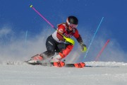 FIS Baltijas kauss 2020 paralēlais slaloms, Foto: E.Lukšo