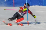 FIS Baltijas kauss 2020 paralēlais slaloms, Foto: E.Lukšo