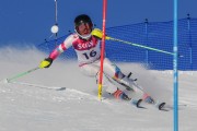 FIS Baltijas kauss 2020 paralēlais slaloms, Foto: E.Lukšo