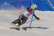 FIS Baltijas kauss 2020 paralēlais slaloms, Foto: E.Lukšo