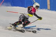 FIS Baltijas kauss 2020 paralēlais slaloms, Foto: E.Lukšo