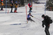 FIS Baltijas kauss 2020 paralēlais slaloms, Foto: E.Lukšo