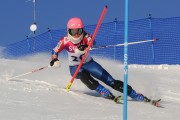 FIS Baltijas kauss 2020 paralēlais slaloms, Foto: E.Lukšo