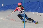 FIS Baltijas kauss 2020 paralēlais slaloms, Foto: E.Lukšo