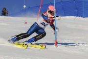 FIS Baltijas kauss 2020 paralēlais slaloms, Foto: E.Lukšo